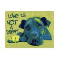 Trademark Fine Art Dean Russo 'Love Is Not A Dream' Canvas Art, 24x32 ALI46288-C2432GG